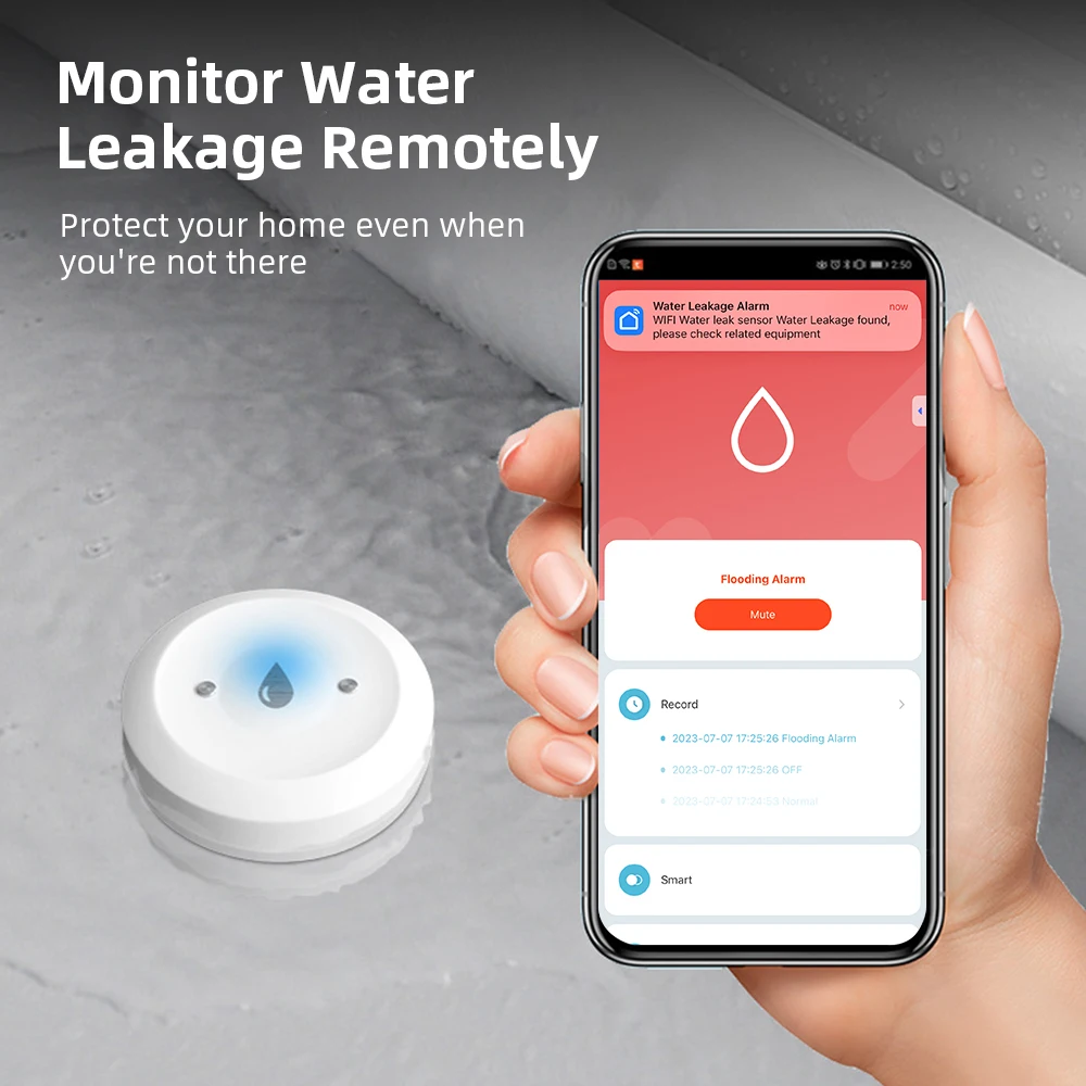 Capteur intelligent de fuite d - Home Security And Monitoring avis et prix