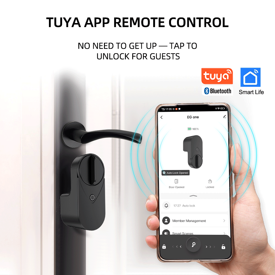 RAYKUBE EG One Tuya BLE Smart  - Home Security Keypad avis et prix