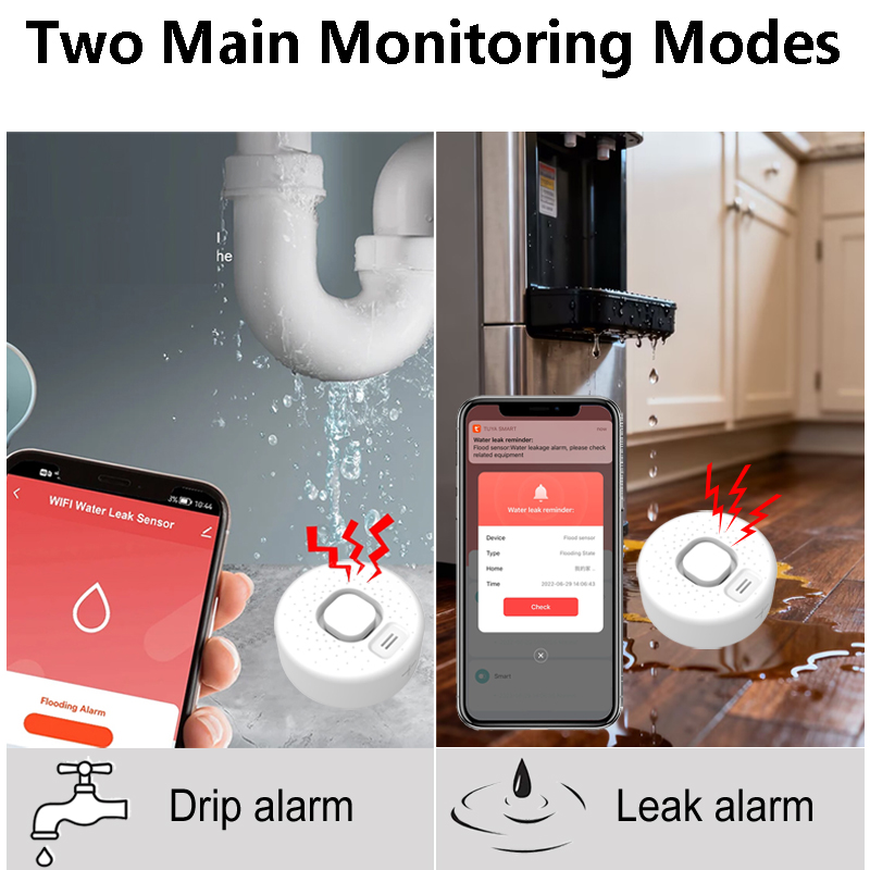 Détecteur intelligent de fuite - Home Security Options avis et prix