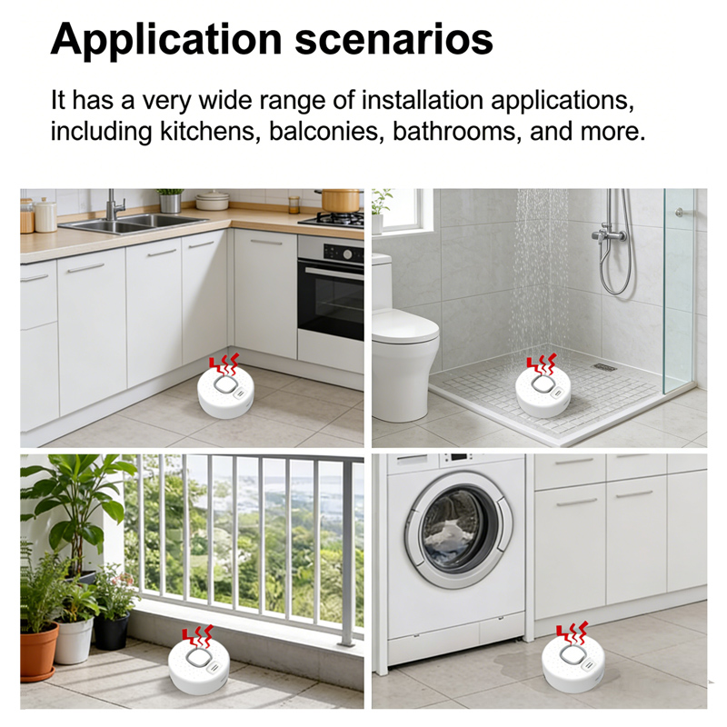 Détecteur intelligent de fuite - Home Security Options avis et prix